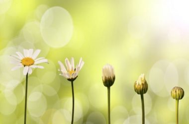 Caregivers: The Stages of Alzheimer’s Disease