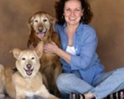 Ann Beyke: Pet Loss and Bereavement Counseling; Understanding Your Loss, Helping You Heal.