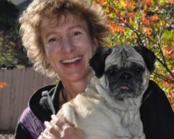 Can Pets Help Us Combat Stress? Jean Alfieri
